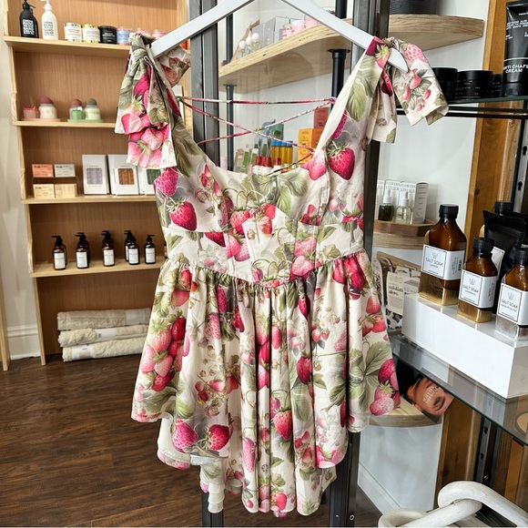 NWT SELKIE Strawberry Cream Farmer’s Market Dress - Picture 2 of 6